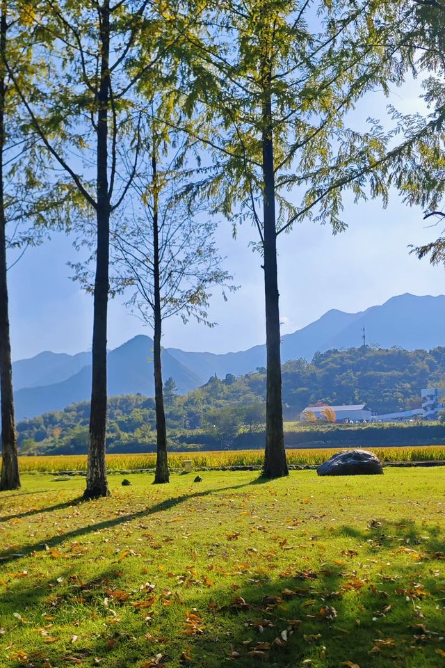 一日遊|杭州自駕1小時安吉免費省錢周末遊攻略。 一日遊|杭州自駕1小時安吉免費省錢周末遊攻略。