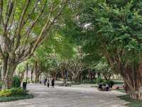 福建福州閩江公園 ｜ 探秘閩江風光，領略榕城魅力。