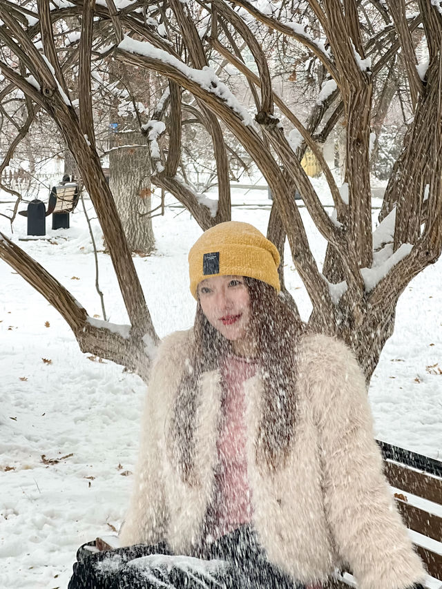 烏魯木齊║雪後的植物園怎麼韓里韓氣的～。