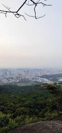 鵬城綠脊，鳳舞山間——深圳鳳凰山攬勝。