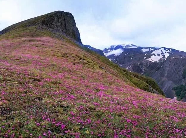 富山 | 北陸的四季風情畫卷 。