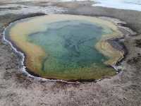 Where to Go for Christmas: A Unique Experience at Yellowstone