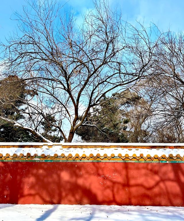 東陵公園穿越歷史，領略皇家自然美景
