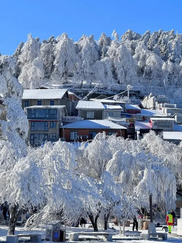 3 เมืองสุดฮิตสำหรับชมหิมะจากกวางตุ้ง! จดไว้เลย!