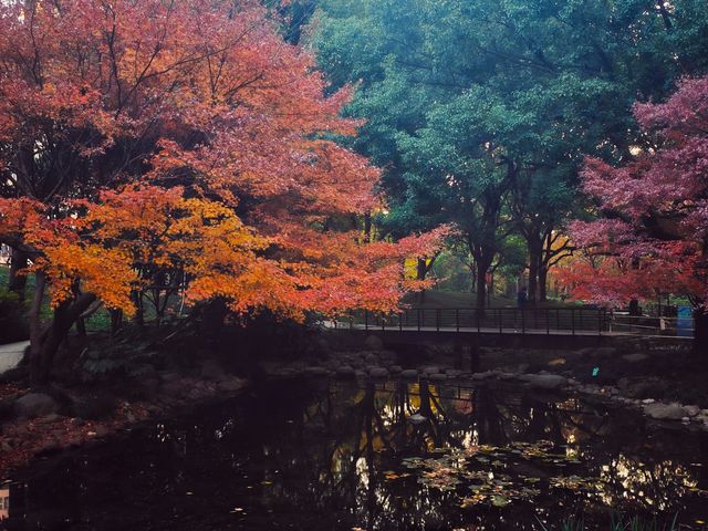 上海的莫奈花園
