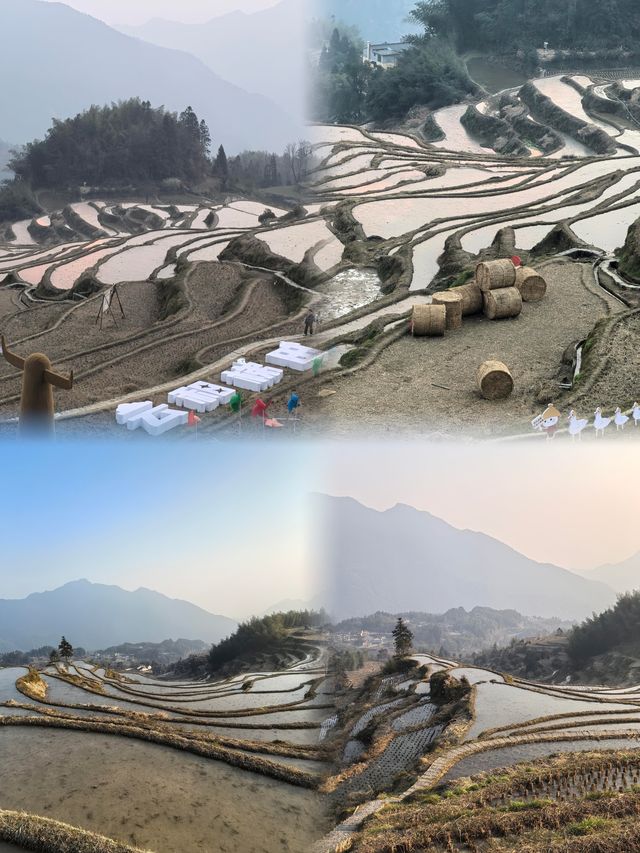 麗水實況給最近要來麗水的朋友們一點點震撼