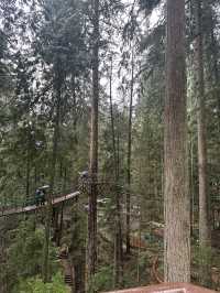Experience the Thrill of Capilano Suspension Bridge Park