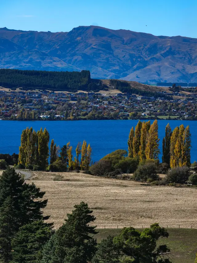뉴질랜드 8일 여행 전국 완벽 투어
