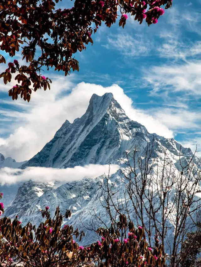 Spring in Nepal is all about rhododendrons and snow-capped mountains