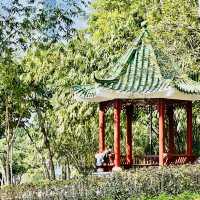 來深圳中心公園逛逛啦