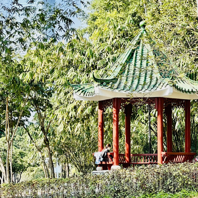 來深圳中心公園逛逛啦