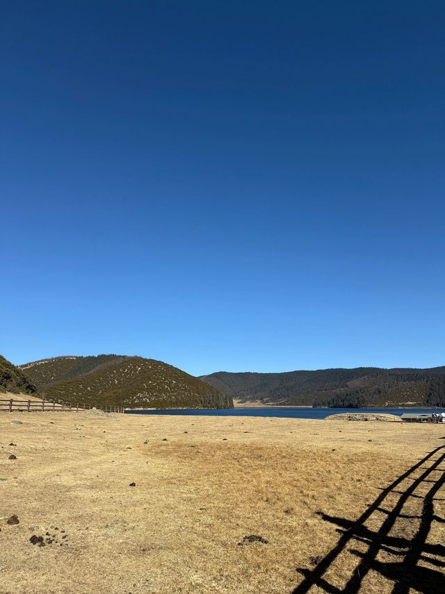 過年好去處迪慶4日遊攻略必看