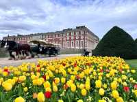 Complete Guide to the Hampton Court Palace Tulip Festival