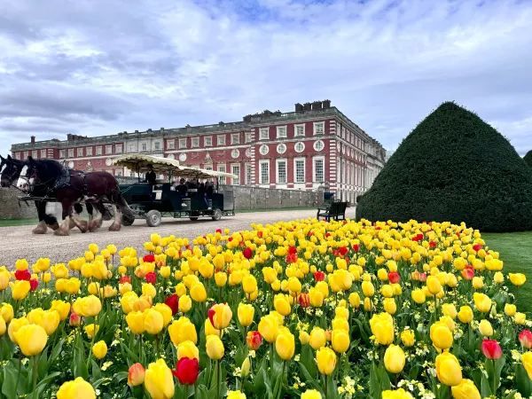 Complete Guide to the Hampton Court Palace Tulip Festival