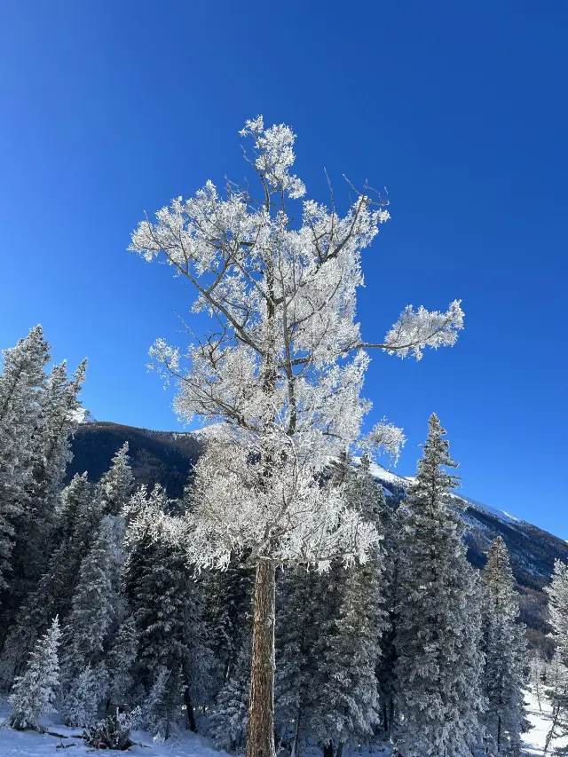 알타이 3일 여행 친구들과 함께 가기 좋은 여행 가이드