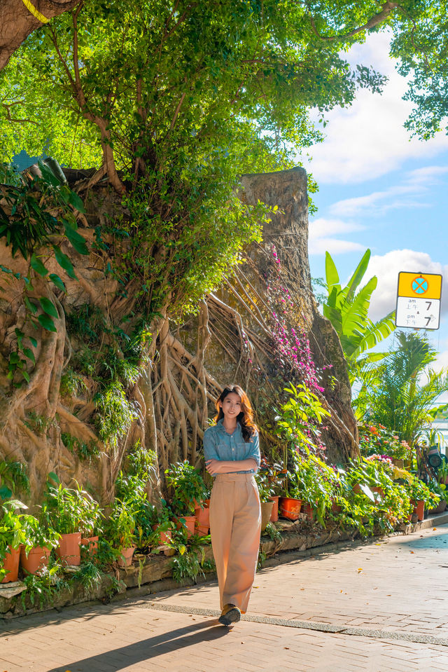 誰懂啊赤柱不愧是香港小南法,美哭我 誰懂啊赤柱不愧是香港小南法,美哭我