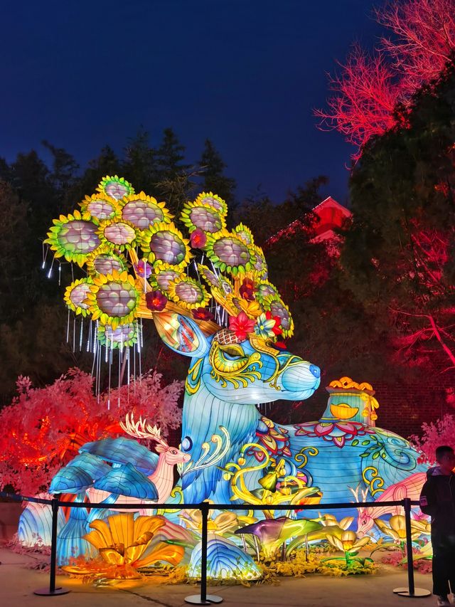 北京驚現奇幻夜世界，還不趕緊快來打卡！
