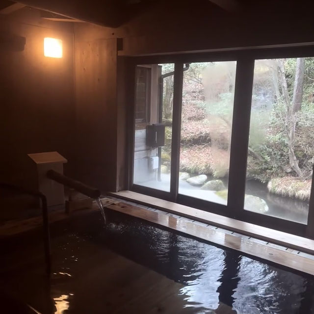 🌸赴一場福岡黑川溫泉的浪漫之約，邂逅夢龍膽的迷人魅力
