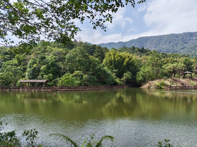 廣西欽州八寨溝重遊美景