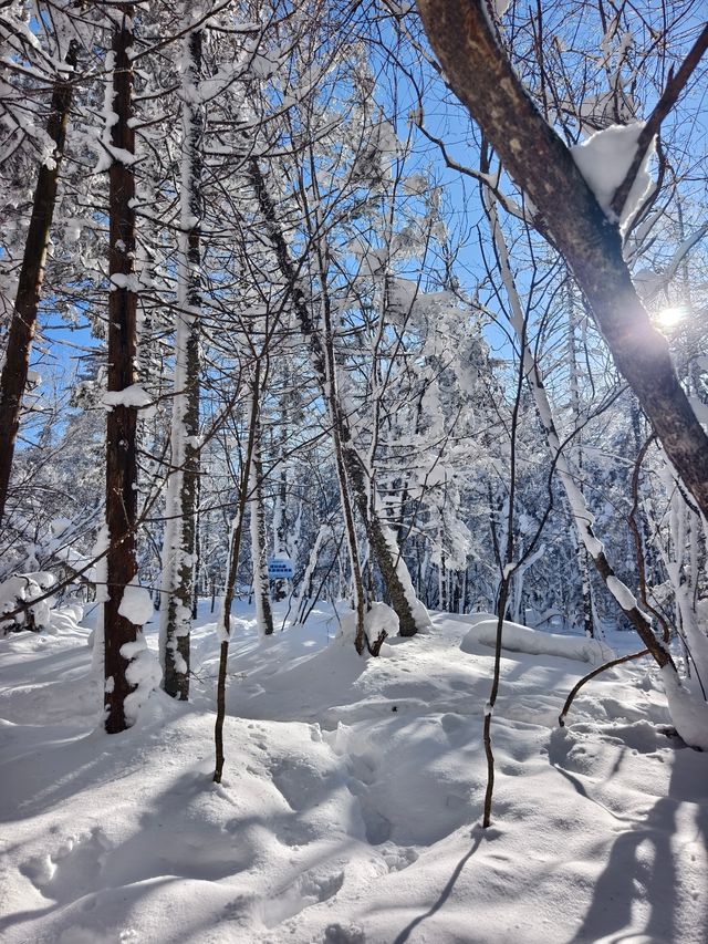 老里克湖徒步||喜歡玩雪的我很開心~~