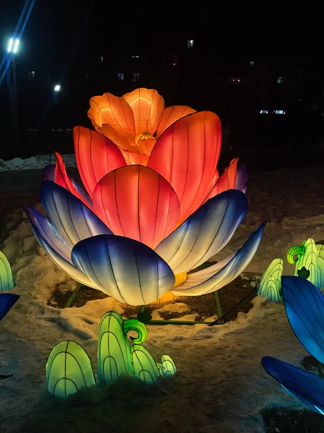 來逛元宵燈會，免費好去處觀賞值得推薦