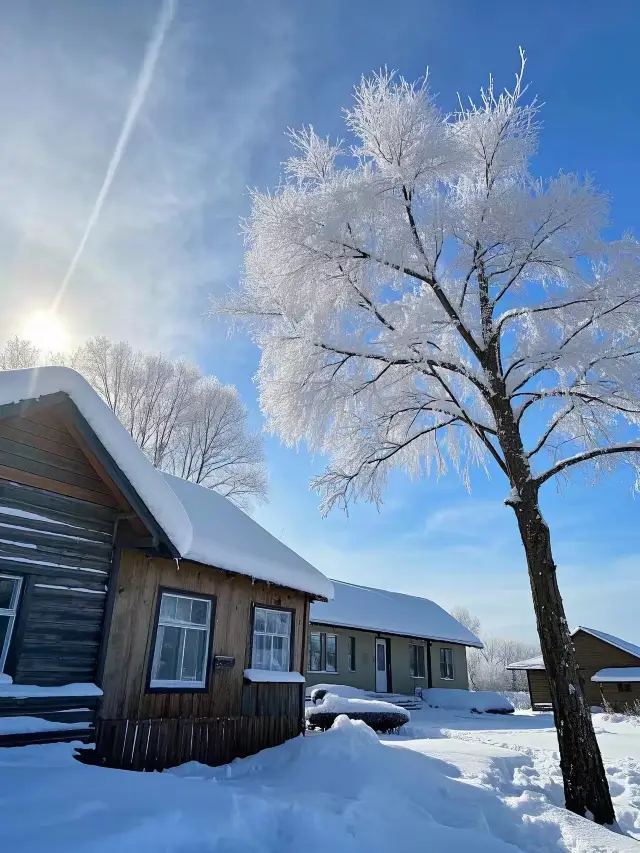 Jilin Wusong Island: A Snowy Wonderland