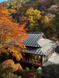 大澤溫泉·湯治屋：岩手縣花卷市的古樸康養之地