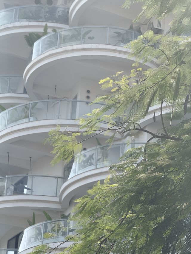 來版納體驗火熱的春天