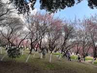 天氣好去植物園walk一下～