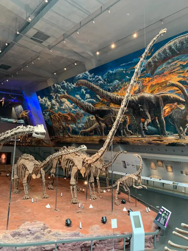 Free family-friendly attraction - National Museum of Natural History