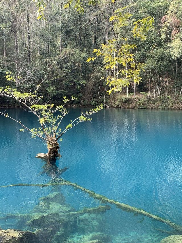 貴州黃果樹-荔波｜長者出遊超實用攻略必收藏