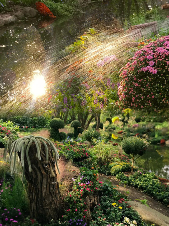比起西湖，我更喜歡這個油畫般的莫奈花園
