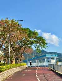香港大美督單車路線攻略，超靚！