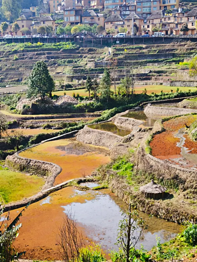 Luoping-Mile-Bisezhai 4-Day Tour: So Beautiful You'll Want to Stay Longer