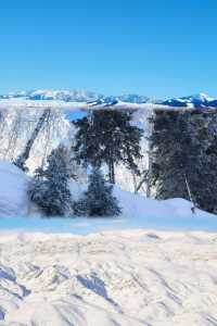 瑞雪谷：澳洲的冬日夢幻王國