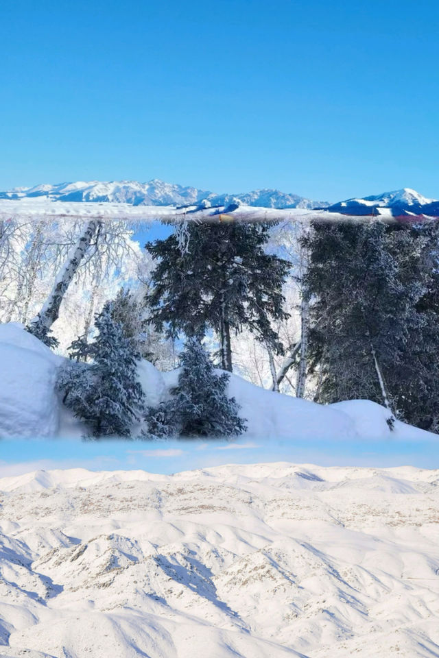 瑞雪谷：澳洲的冬日夢幻王國