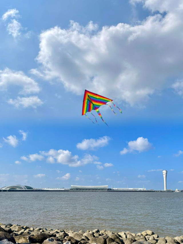 上海95%人不知道的寶藏公園捉蟹觀海