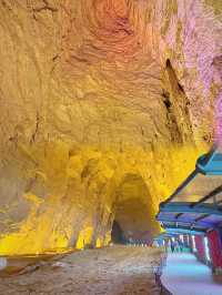 他們都讓我來這裡