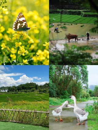 Couplet: Winding village roads through green fields. Second Couplet: You come to pick up