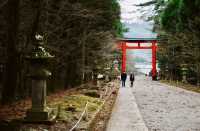 別再只知道京都神社！霧島神宮，藏在鹿兒島的國寶級秘境