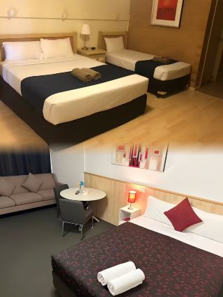 This Koala Hotel Blew Me Away! Koala Countryman Motel—Highly Recommended!