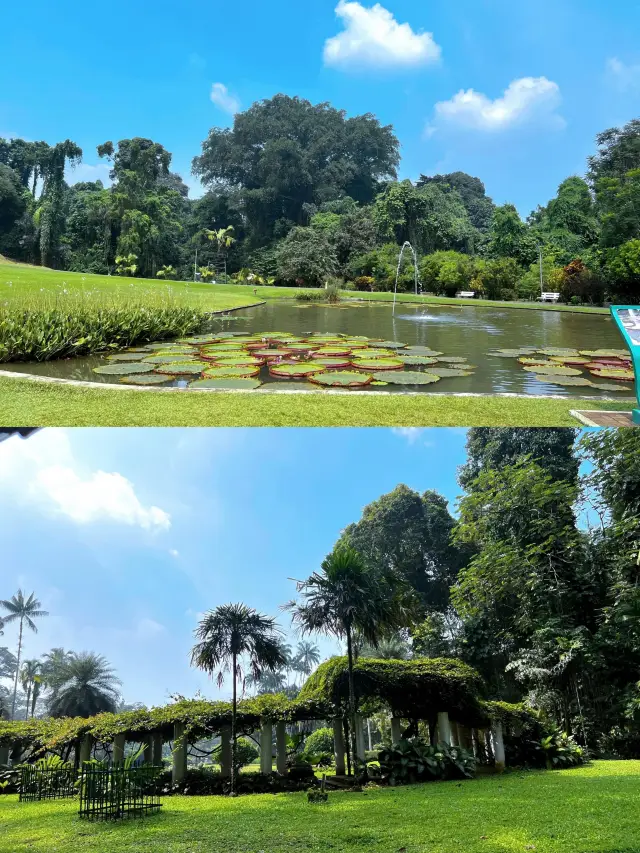 Unlock Bogor: Indonesia's Hidden Gem