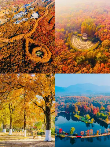 鐘山風景獨好，一覽眾山美景如畫。