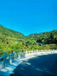 深圳陽臺山森林公園 | 城市中的自然寶藏