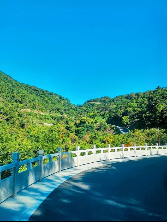 深圳陽臺山森林公園 | 城市中的自然寶藏