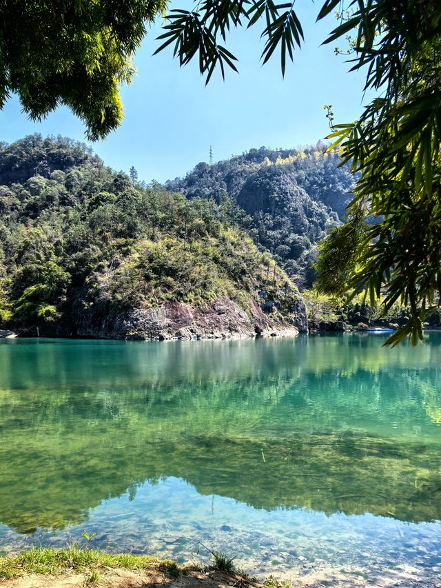 永嘉書院—讓您流連忘返的天然氧吧