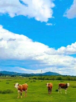 A 3-Day Trip to Beijing–Chengde–Chifeng: Your Ultimate Guide