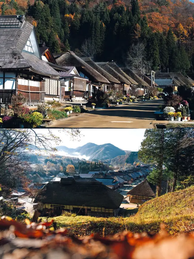 2-Day Japan Itinerary | Your Perfect Short Getaway