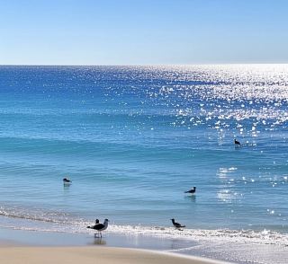 オーストラリアのメリンブラ：川沿いの町の隠れた魅力