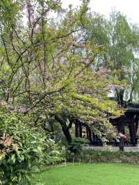 救命呀！成都呢個公園已經被花海包圍咗